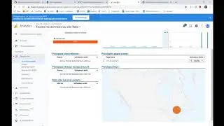Newrelic/Google Analytique