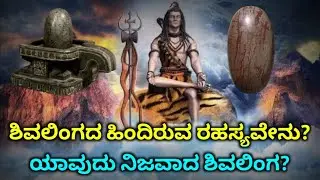 ಶಿವನಿಂದ ನಾವು ನೇರವಾಗಿ ಶಕ್ತಿ ಪಡೆಯುವುದು ಹೇಗೆ? Shivalinga | Shivalinga Story | Who cursed Shiva as Linga