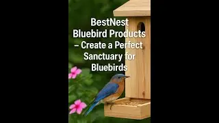 BestNest Bluebird Products &ndash; Create a Perfect Sanctuary for Bluebirds (H)