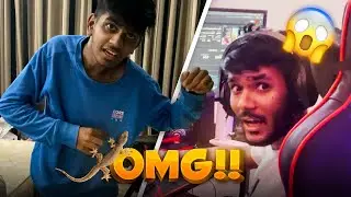 Chipkali ghuss gayi Viru ki pocket main 🦎🦎| Hastar Vlogs