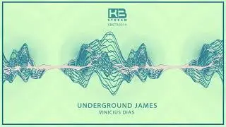 Vinicius Dias - Underground James (Original Mix)