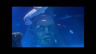 Sea Life Manchester
