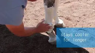 Cool As Clay leg poultice for horses - Amacron Equine TRM Australia