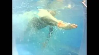 Albert Grau en Technojetswim