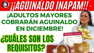 &iexcl;CONFIRMADO! Aguinaldo 2025 para adultos mayores con tarjeta INAPAM lo que debes saber