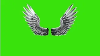 GREEN SCREEN WINGS TEMPLATE