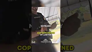 Cop gets OWNED by LAWYER! #shorts