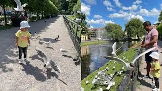Sabira feeding moss birds and duck at city park, Uppsala, Sweden. Kids Diary