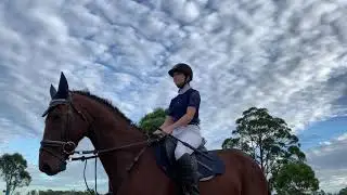 Siena Grima Remote Jumping Equitation Competition