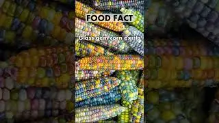 Glass Gem Corn