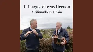 Jigs: The Hag's Purse of Money / The Coming of Spring / The Banks of Newfoundland / The...