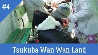 Places to Visit in Japan for Animal Lovers Part 1