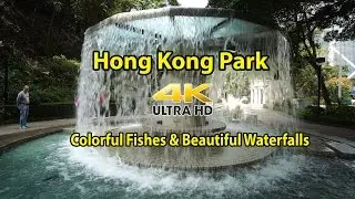 Colorful fishes and beautiful waterfalls in visiting Hong Kong Park 4K UHD April 2017