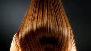 5 Amazing Hair Facts You Didn&rsquo;t Know! 🔬 | Hair Growth, Strength & Science