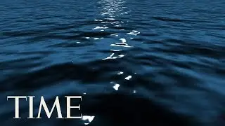 Woman Jumps From Ferry Boat At Walt Disney World In Orlando | TIME