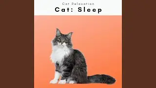 Joy of Total Relax Music for Cats Pt. 1
