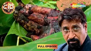 जंगल से मिले ये हाथ Dr Salunkhe को किया परेशान || CID | सीआईडी | Latest Episode 2025