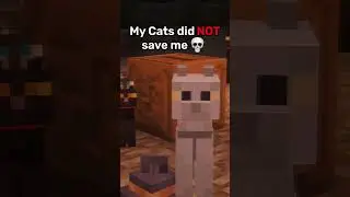 POV: Your pets did not save you 😭 #minecraft #minecraftshorts #minecraftmemes