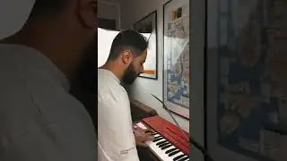 Funk Groove like a Pro | Clavinet #castlebar #whammybar #clavinetd6 #funkmusic