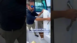 Awesome head space in the...head 🛥 @BertramYachts 28 Center Console #boat #boats #youtubeshorts