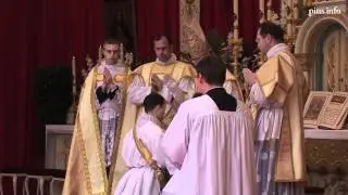 Priesterweihen in Zaitzkofen 2011