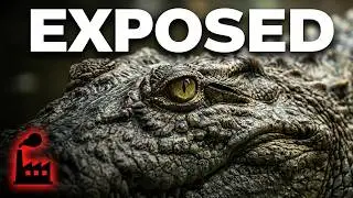 🐊Crocodile Leather Exposed How Fashion Industry Threatens Wildlife | Full Documentary