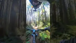 Chill ride with the flow trail 😘#mtb #downhillmtb #downhill #blessed #thankyougod 🙏🏻🇵🇭🇨🇦🙏🏻