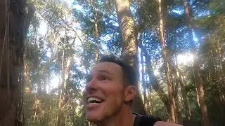 What is the final 5km climb of the UTA50 like