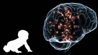 Why I think the Mandela Effect is False...Part 1