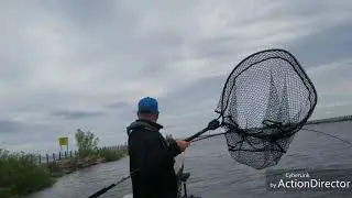 Oak Orchard - pike