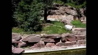 Flocke 4