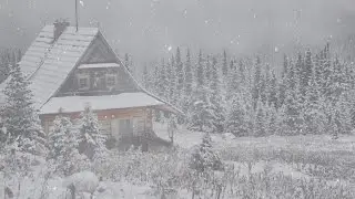 Snowy Cabin in the Woods - HD Video Background Loop