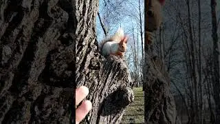 БОЖЬЯ❤️ КРАСОТА😍,НЕОЖИДАННЫЙ😍 СЮРПИЗ🙏, ЧУДО-БЕЛОЧКА😍....