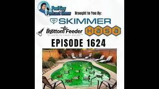 Ducks in Your Pool? Here&rsquo;s How to Keep Them Out!
