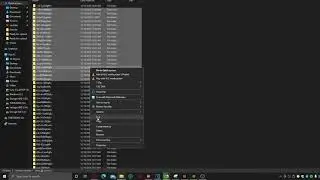 Minecraft Founders Cape Bug #1