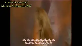 Dalida femme et la nuit - مترجمة