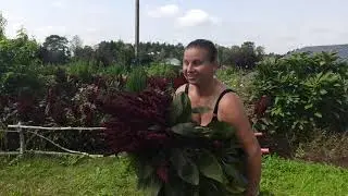 Zniszczenia po burzy