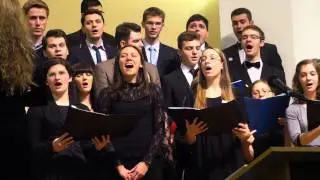 Amicus Iasi - Sa n-ai teama