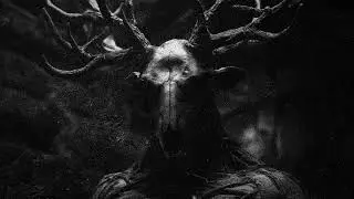 The Withered Grove // Mystical Dark Ambient Soundscapes