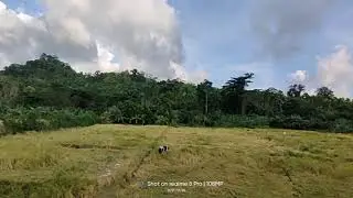 @realandaman  Rural Andaman - Rangat parnashala