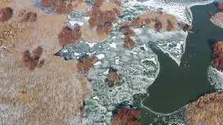 Aerial view of the Danube Delta with winding water channels and lush meadow vegetation