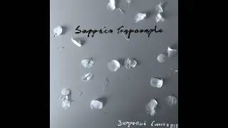 The Serendipitous Cacophonies - The Fragility of Hope