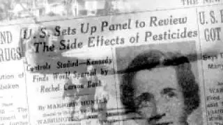 Rachel Carson  DDT chemical pesticides