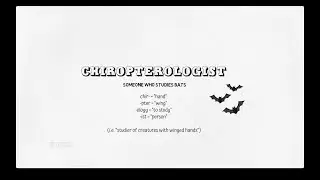 I Am A...Chiropterologist