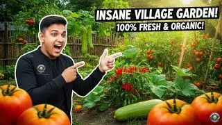 Bangla Village Garden Tour 🇧🇩 | INSANE Organic Sabji Harvest! USA Viewers Will Love This! 🌿🍅