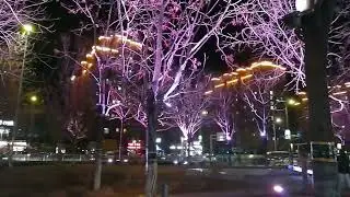 Neon night view 霓虹夜景