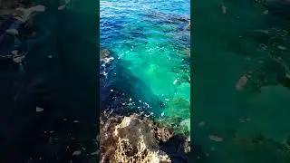 Clearly Magical waters in Grand Cayman