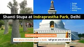 Indraprastha Park | Millennium Indraprastha Park New Delhi | Shanti Stupa | | Places for couples