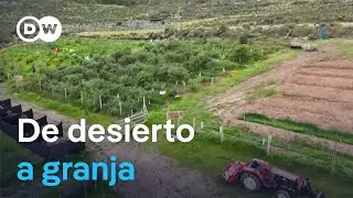 C&oacute;mo crear una granja sostenible en una zona &aacute;rida de Chile