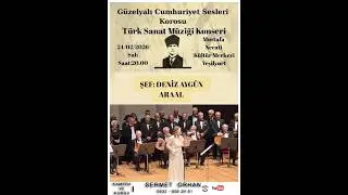 AYSUN  AKYAY /  SENİ ÇOK SEVİYORUM HER ZAMAN SEVECEĞİM/  ACEMKÜRDİ